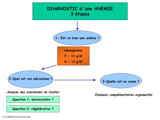 Diaghostic anémie.pdf