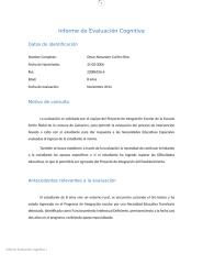 Informe Curilen Rios.docx